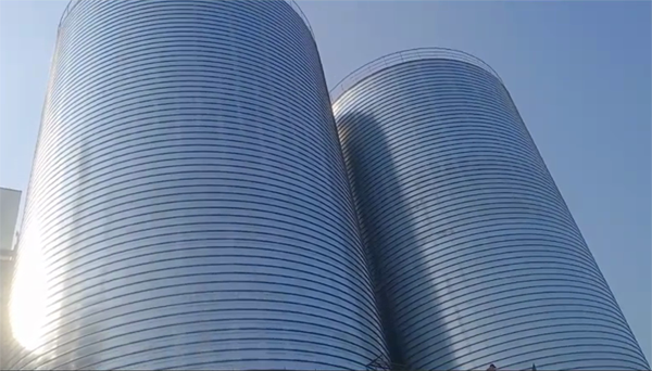 皂市镇2座混凝土高架卷板仓